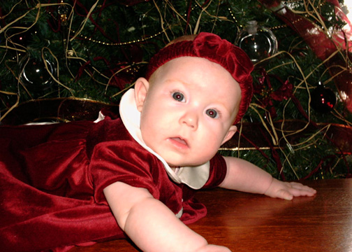 anna_xmas1.jpg